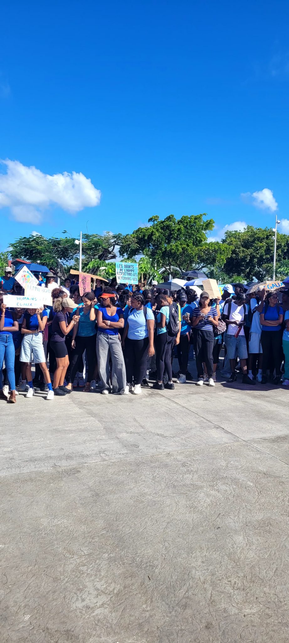 PHOTO-2024-12-10-15-18-42 2